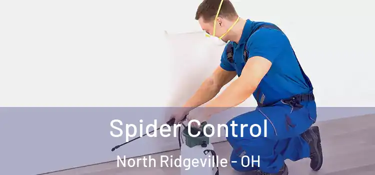  Spider Control North Ridgeville - OH