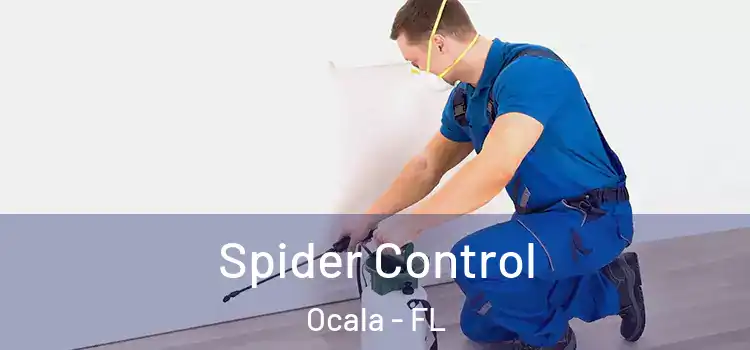  Spider Control Ocala - FL