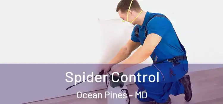 Spider Control Ocean Pines - MD