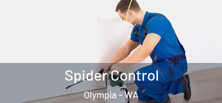 Spider Control Olympia - WA