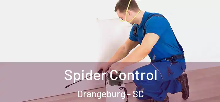 Spider Control Orangeburg - SC