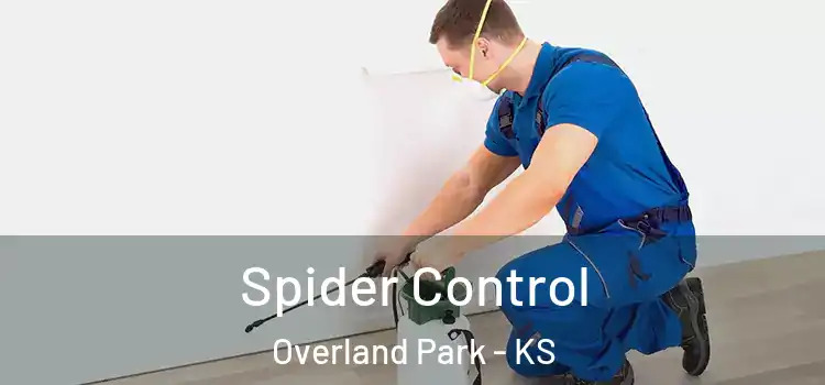  Spider Control Overland Park - KS