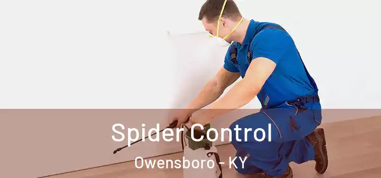  Spider Control Owensboro - KY