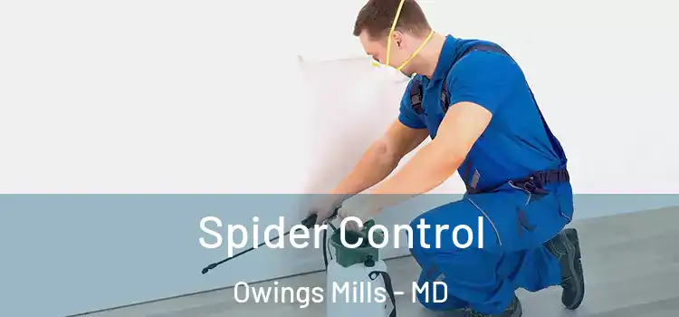Spider Control Owings Mills - MD