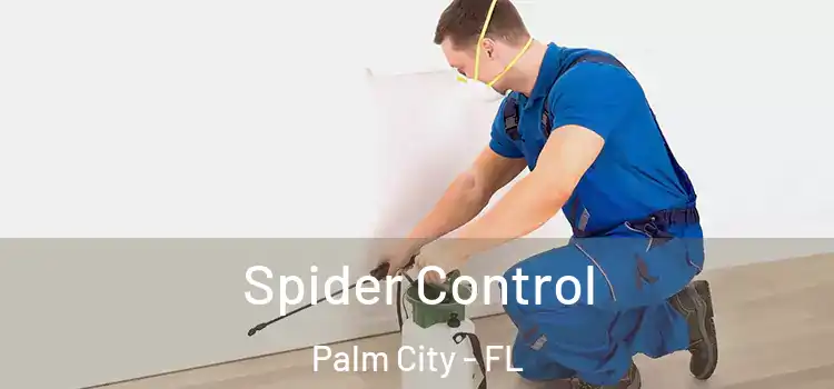  Spider Control Palm City - FL