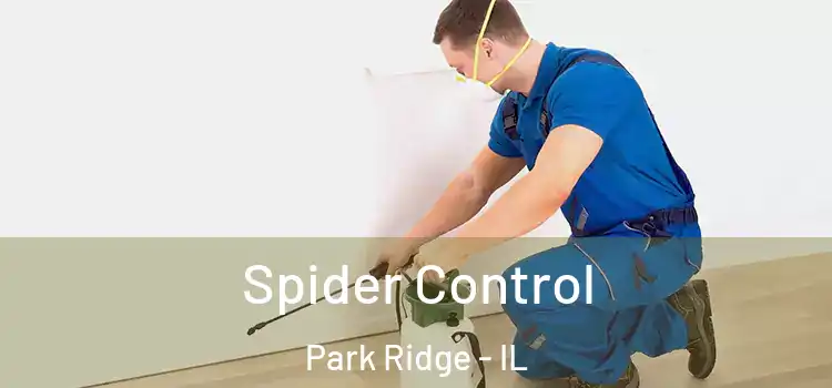 Spider Control Park Ridge - IL