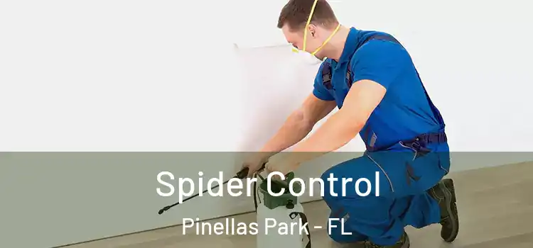  Spider Control Pinellas Park - FL