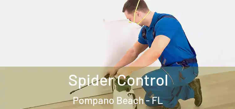 Spider Control Pompano Beach - FL