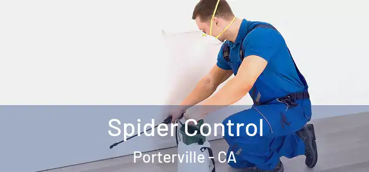  Spider Control Porterville - CA