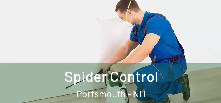 Spider Control Portsmouth - NH