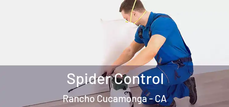  Spider Control Rancho Cucamonga - CA
