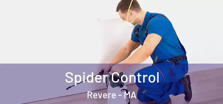  Spider Control Revere - MA