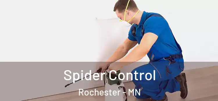Spider Control Rochester - MN