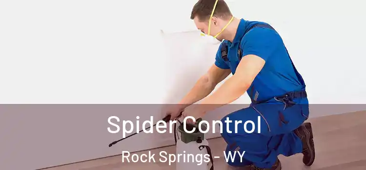 Spider Control Rock Springs - WY