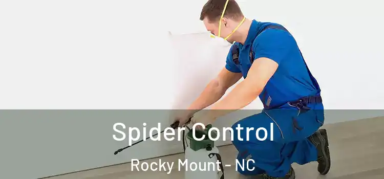 Spider Control Rocky Mount - NC