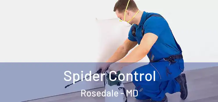 Spider Control Rosedale - MD