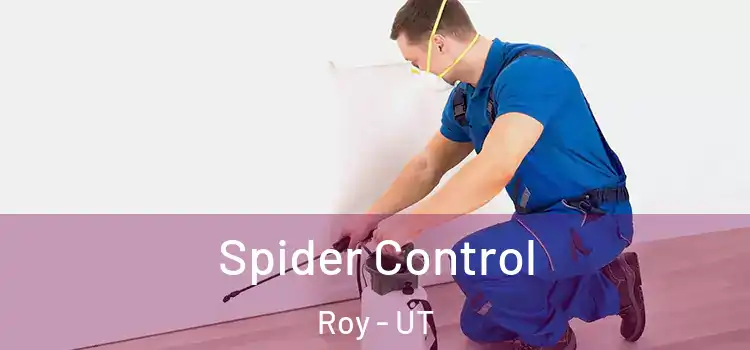 Spider Control Roy - UT