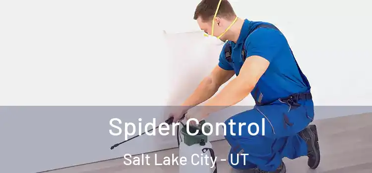 Spider Control Salt Lake City - UT