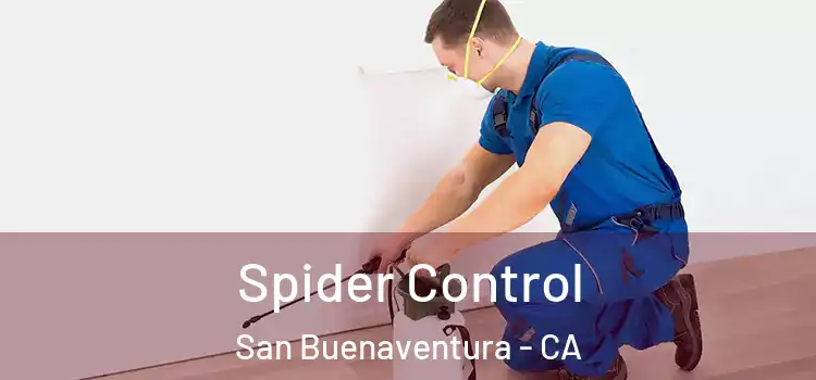  Spider Control San Buenaventura - CA
