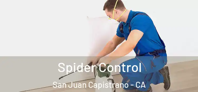  Spider Control San Juan Capistrano - CA