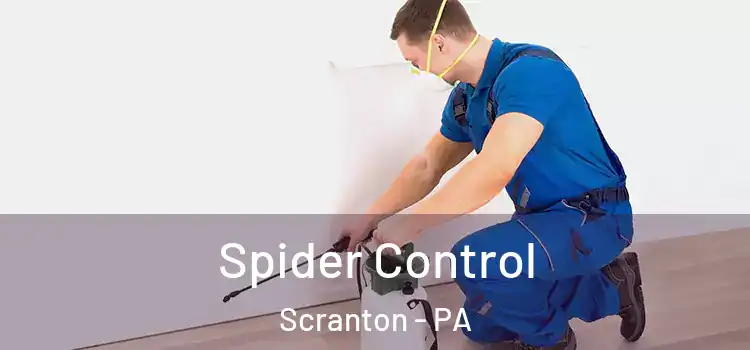 Spider Control Scranton - PA