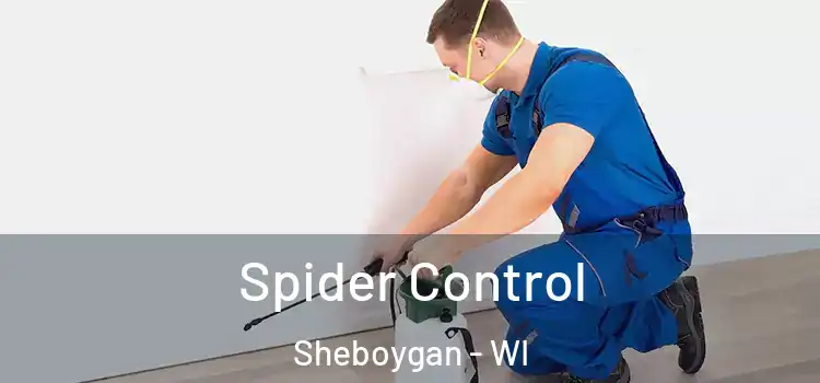  Spider Control Sheboygan - WI