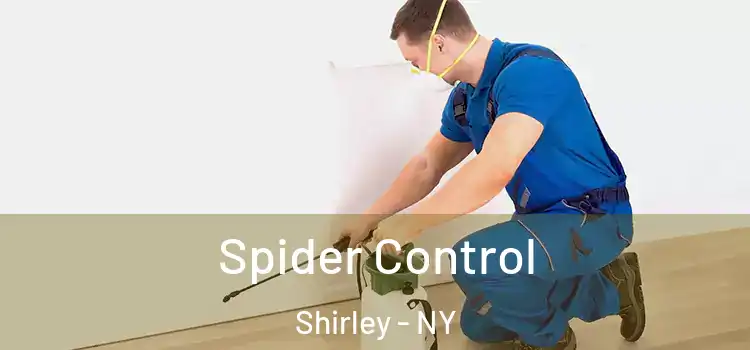  Spider Control Shirley - NY