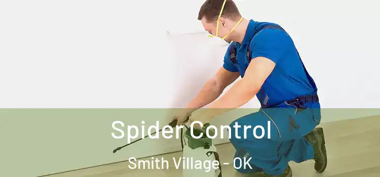  Spider Control Smith Village - OK