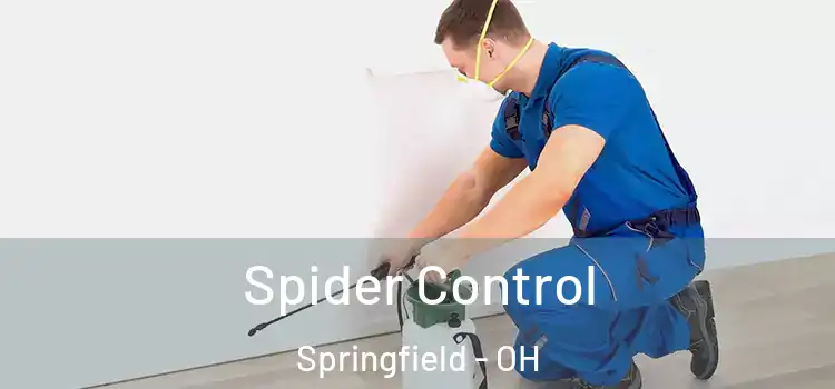  Spider Control Springfield - OH