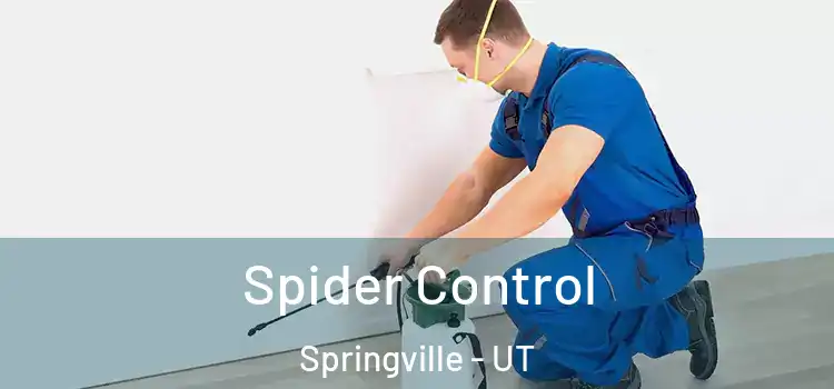  Spider Control Springville - UT