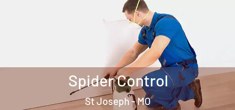  Spider Control St Joseph - MO