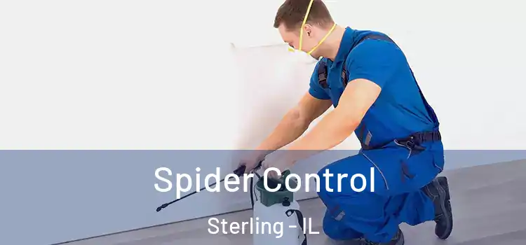 Spider Control Sterling - IL
