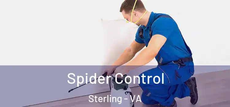 Spider Control Sterling - VA