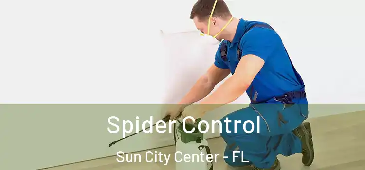  Spider Control Sun City Center - FL