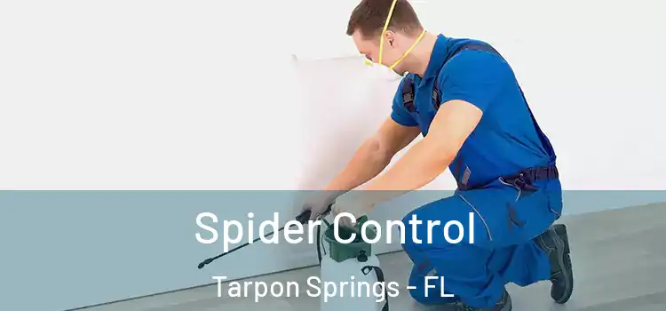 Spider Control Tarpon Springs - FL