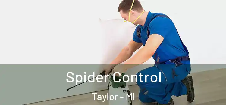  Spider Control Taylor - MI