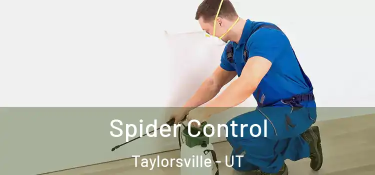  Spider Control Taylorsville - UT