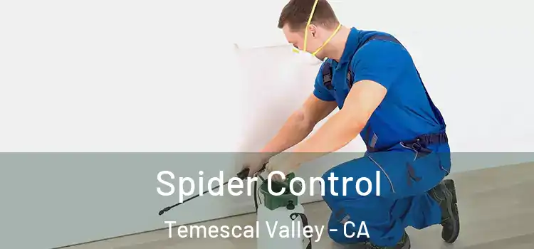  Spider Control Temescal Valley - CA