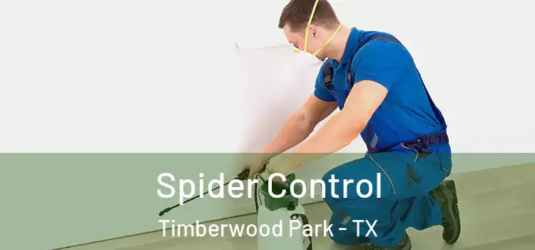 Spider Control Timberwood Park - TX