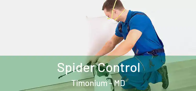 Spider Control Timonium - MD