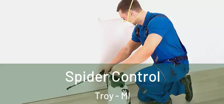  Spider Control Troy - MI