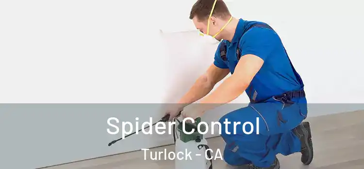 Spider Control Turlock - CA