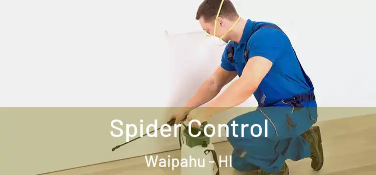 Spider Control Waipahu - HI