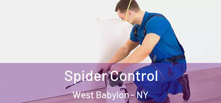  Spider Control West Babylon - NY