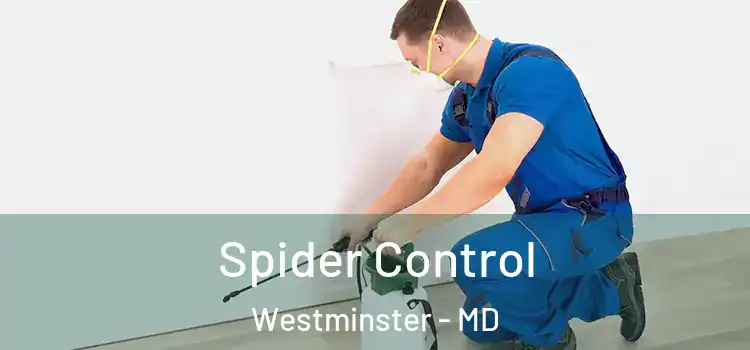 Spider Control Westminster - MD