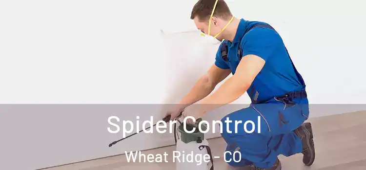  Spider Control Wheat Ridge - CO