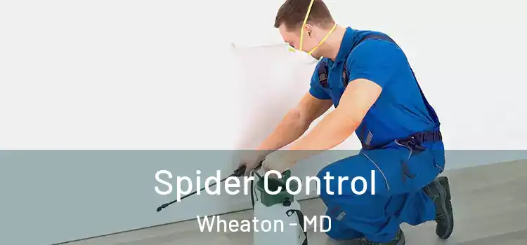 Spider Control Wheaton - MD