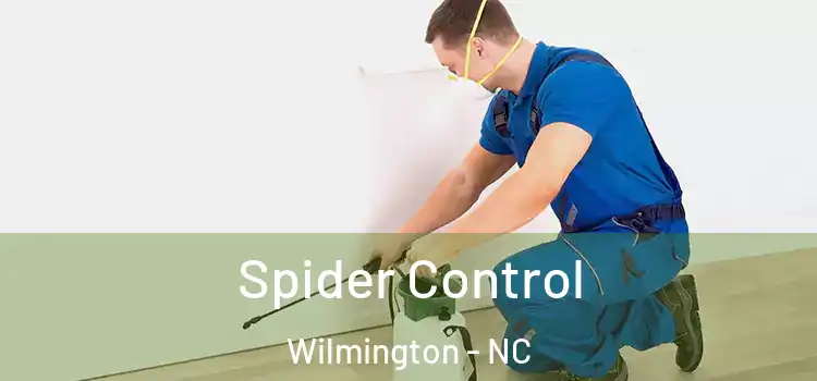  Spider Control Wilmington - NC