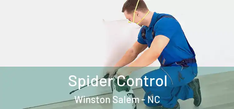 Spider Control Winston Salem - NC