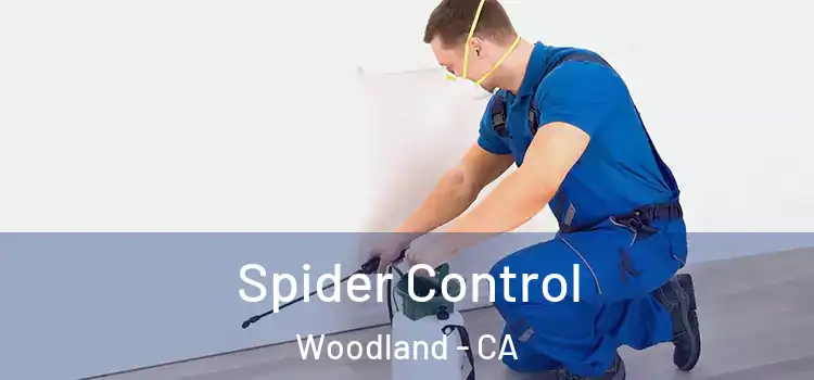  Spider Control Woodland - CA